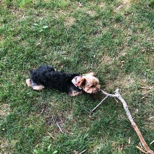 Meet your Posher, Christian